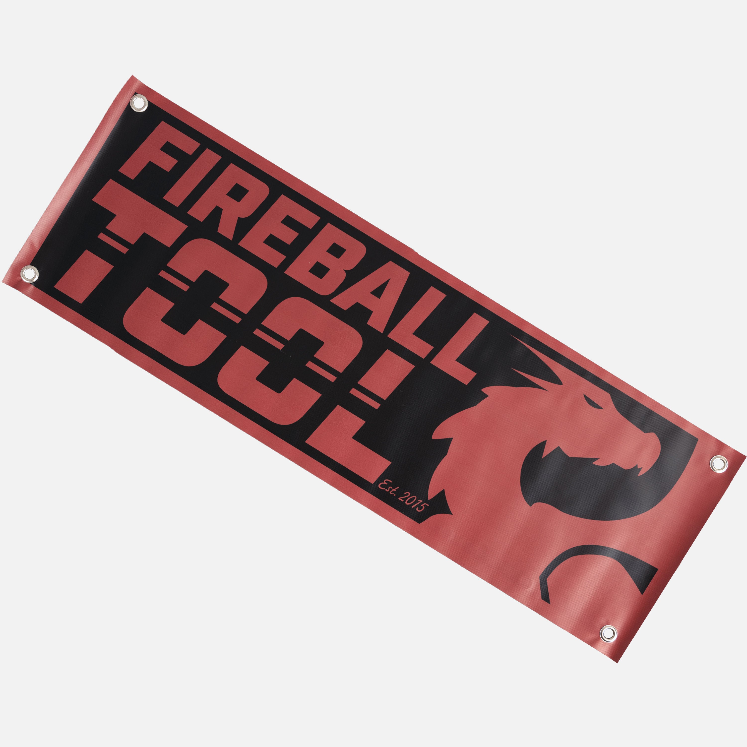 Fireball Vinyl Banner